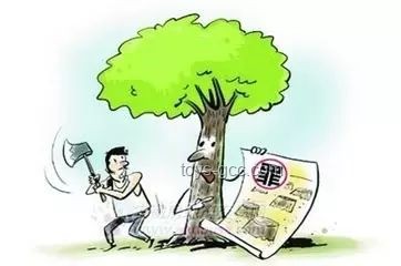 印一医生被强奸犯家属绑树上殴打：解决方案与预防措施